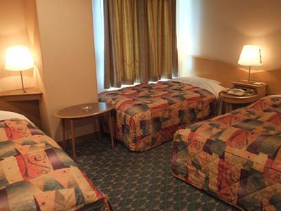 Sotetsu Fresa Tokyo-toyocho Hotell Tokyo prefektur